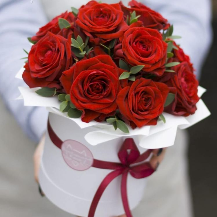 Лучший от 9 200 руб.